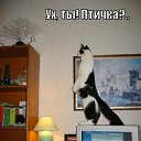 ���� �����, �������, 56 ��� - ��������� 3 ���� 2011 � ������ �����