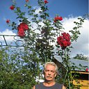 ���� ��������, ������, 72 ���� - ��������� 16 ������ 2012 � ������ ���� ����������