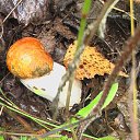 ���� ���, ����� - ��������� 18 �������� 2011 � ������ ��������� ������������