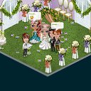 ���� ���������, ��������, 49 ��� - ��������� 3 ����� 2013 � ������ �Tropikania�