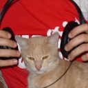 ���� �����, ��������� - ��������� 9 ���� 2013