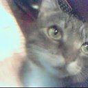 ���� �������, ������ - ��������� 22 ������ 2009