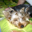  , , 52  -  23  2011   RoadKing