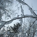 �������� ���� �� ������� �������� �������