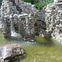 ���� ��������, �����, 68 ��� - ��������� 24 ���� 2012 � ������ �������