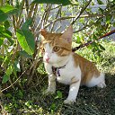 ��� ������� ��� ��������� �� ��������. �� ������� ����� ��� ������������