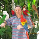 ���� �������, ������, 68 ��� - ��������� 8 ���� 2013 � ������ ���� ����������