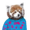 ���� ���������, ������, 35 ��� - ��������� 30 ���� 2013