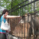 ���� ������, ������, 51 ��� - ��������� 7 ���� 2012 � ������ ���� ����������