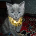 ������� - ����� ����������� �� ������� �������
