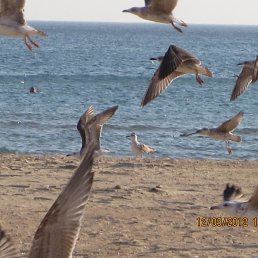 ���� �������, ������, 45 ��� - ��������� 28 �������� 2012