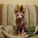 ���� �����, ������ - ��������� 26 ������ 2010 � ������ ���������� ������