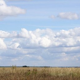 ���� ������, ��������, 46 ��� - ��������� 16 ������ 2011