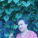 ���� ����(����), ����������� - ��������� 29 ������� 2012 � ������ ���� ����������