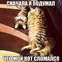 ��� �������� �� ������� ���� ����������