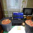 ���� �������, ������, 69 ��� - ��������� 6 ��� 2012