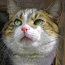 ������� ����, ��� ����� � ���� ����������!!! ������ ����������� � ����� ��� ���� ����� ��..., �� ���� ������ �...� ��������. �� ������� ������� �������� �� ����..�