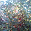 ���� ����, ���������� �����, 59 ��� - ��������� 30 ������ 2012 � ������ ���� ����������