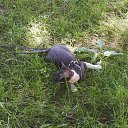 ���� ���, �����������, 47 ��� - ��������� 6 ���� 2013 � ������ ����� ��� ������������