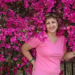 �������, ���������, 60 ���