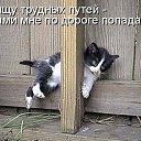 ���� ����� ������, ������, 51 ��� - ��������� 8 ������� 2011 � ������ ���� ����������