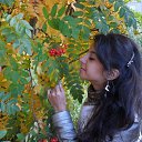 ���� ������, ���, 33 ���� - ��������� 10 ��� 2013 � ������ ���� ����������