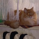 ���� �������, �����, 44 ���� - ��������� 23 �������� 2011