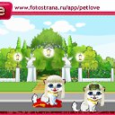 ���� �����, ���������, 35 ��� - ��������� 6 ������ 2010 � ������ �PetLove�