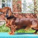 ���� &deg;&bull;*������&deg;&bull;*, ����������, 23 ���� - ��������� 3 ���� 2010 � ������ ��������!�