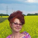 ���� ��������, ������, 55 ��� - ��������� 14 ���� 2012