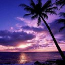 ���� ������, ���-����, 28 ��� - ��������� 15 ������� 2009 � ������ �������