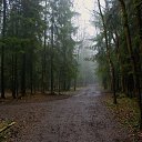 ���� T�����, ����� - ��������� 22 ���� 2013 � ������ ���� ����������