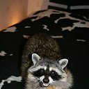 ���� Nika, ���������, 85 ��� - ��������� 10 ������ 2010 � ������ ������ �����!�