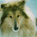  Alehandro,  -  16  2012   :)