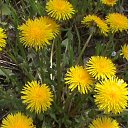 ���� ������, ������� - ��������� 26 ������ 2010 � ������ �������