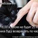 ���� �����, �����������, 45 ��� - ��������� 22 ����� 2010 � ������ ������