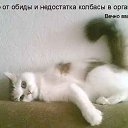   ( -        ,  -  27  2010      