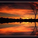 ���� �����, ���������, 45 ��� - ��������� 9 ������ 2010 � ������ ����������