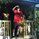  , -, 43  -  26  2011