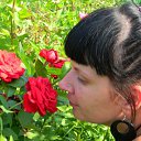 ���� ����, �����-���������, 43 ���� - ��������� 24 ������� 2011 � ������ ���� ����������