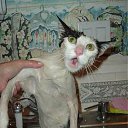 ���� Val, �������, 42 ���� - ��������� 6 ���� 2010