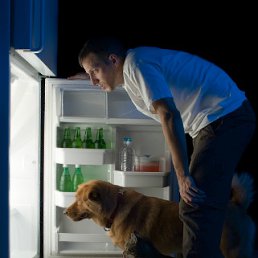 ���� ������, �����-���������, 43 ���� - ��������� 19 ������� 2011