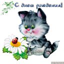 ���� �������, ������, 78 ��� - ��������� 13 ������ 2013 � ������ ���� ����������