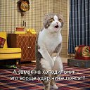 ���� ��������, ����, 72 ���� - ��������� 23 ������� 2012 � ������ ���� ����������