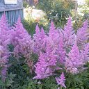 ���� �������, �������, 58 ��� - ��������� 15 �������� 2012 � ������ ��� �� ��� ������ �����������