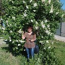 ���� ������, ����, 72 ���� - ��������� 4 ��� 2013