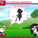 ���� ����, �����������, 74 ���� - ��������� 10 ��� 2011 � ������ �PetLove�