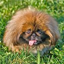 ���� �������, �����-���������, 38 ��� - ��������� 9 ������ 2010 � ������ �����������