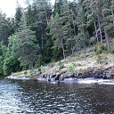 ������ �� ������� ���� ����������