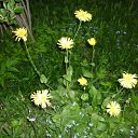 ���� ����@, ��������, 62 ���� - ��������� 29 ��� 2010 � ������ ��������� �������